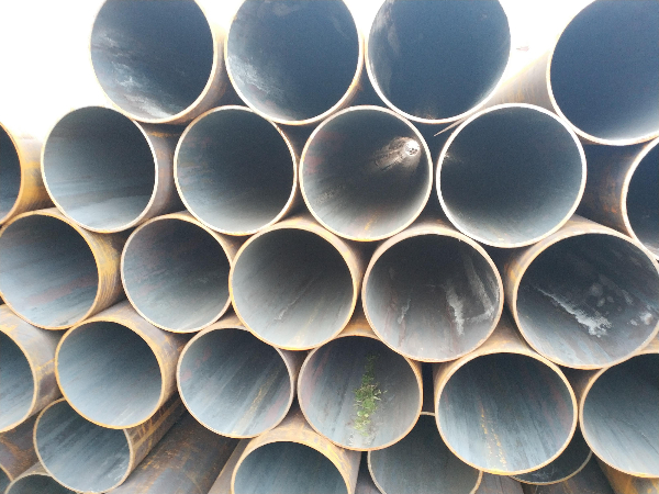 IMG_20181115_114615.JPG IMG_20181115_114615.JPG