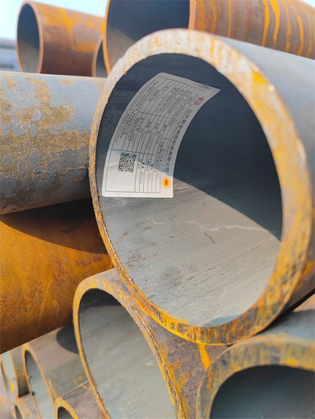 IMG_20230401_153704.jpg IMG_20230401_153704.jpg